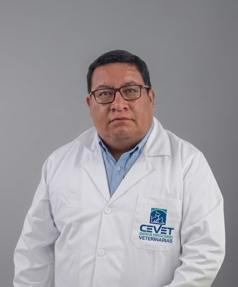 MARCO VINICIO ESTRELLA SILVA